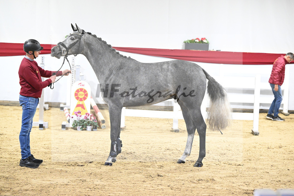 Kat-Nr. 28 v. Cornet de Semilly_ZG Nahm_63220824 | hf-fotografie - Realizzato con Pictrs.com