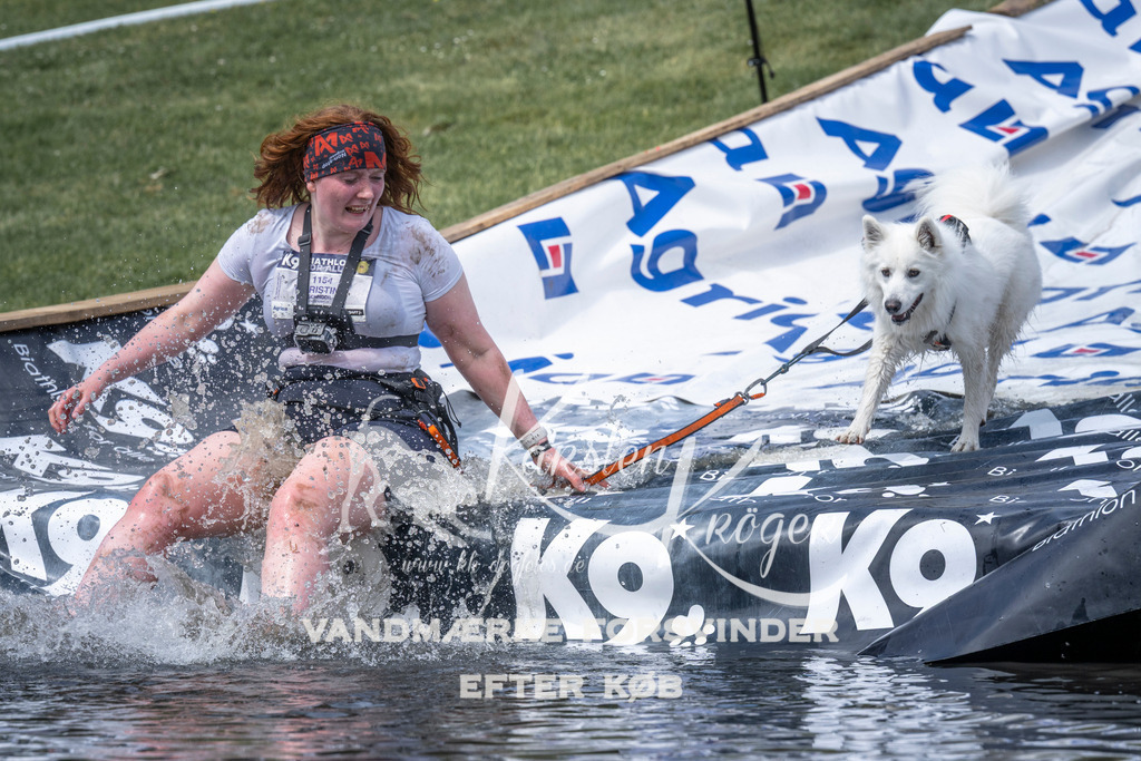 1212_ZZ96027 | kk-dogfotos