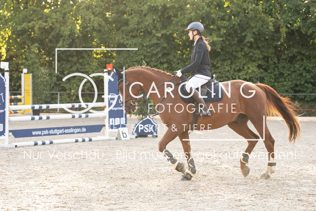 DSC01563 | Carolin Gieschke