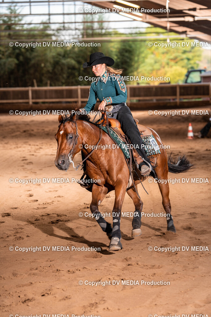 Erbach Tag 2-1271 | dv-media-shop - Realisiert mit Pictrs.com