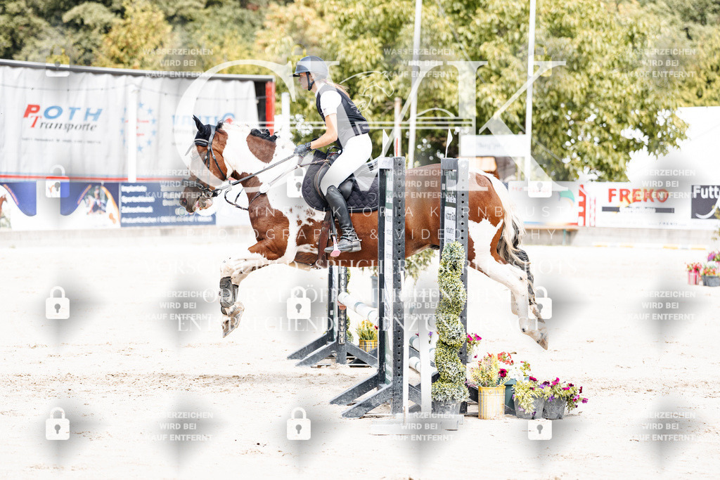CK906750 | Turnierfotografie Pferdefotografie Trier Rheinland-Pfalz Pferdesport Reitsport Tierfotografie Sportfotografie Pferdevideo Pferdevideografie Equestrianvideography equestrianphotography  - Realisiert mit Pictrs.com