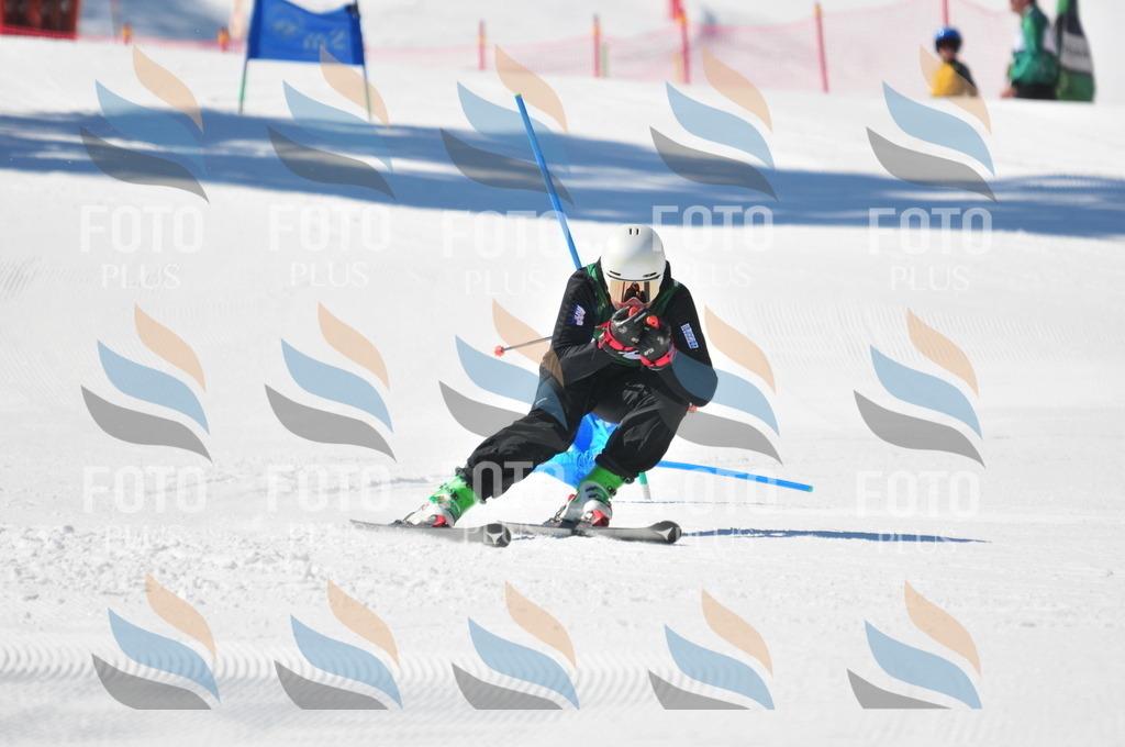 C3278 | holidayphoto