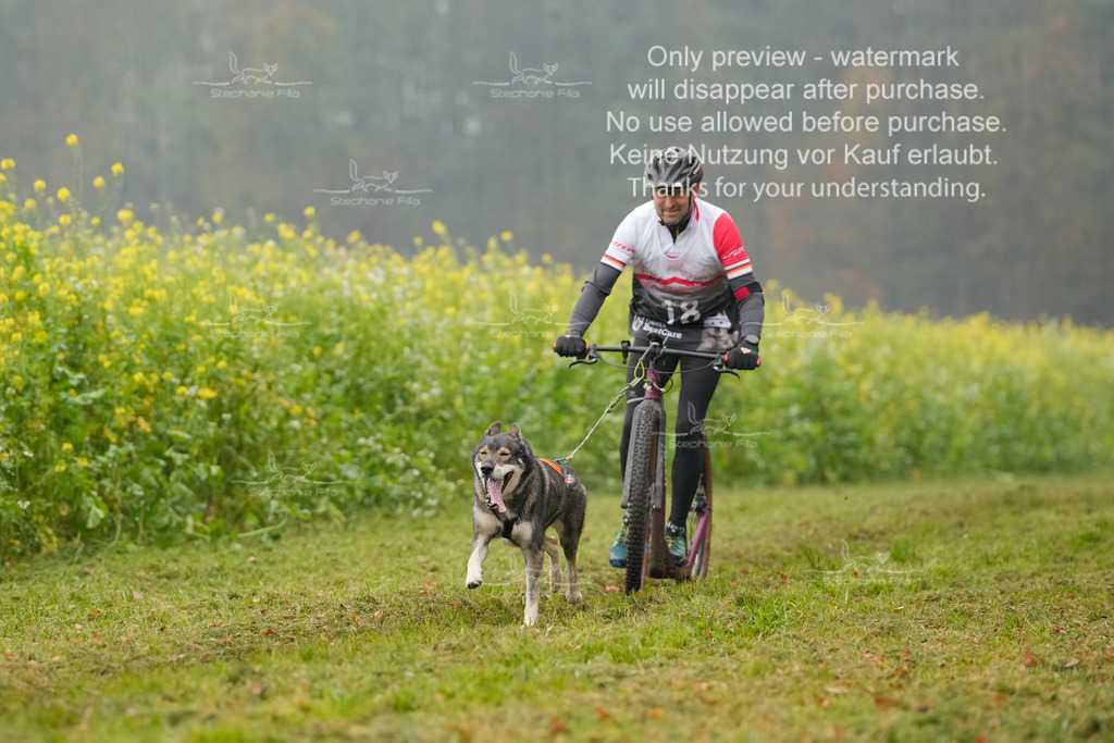 Visbeck_Sa_Scooter_Hc-15 | stephaniefillaphotographie - Realisiert mit Pictrs.com