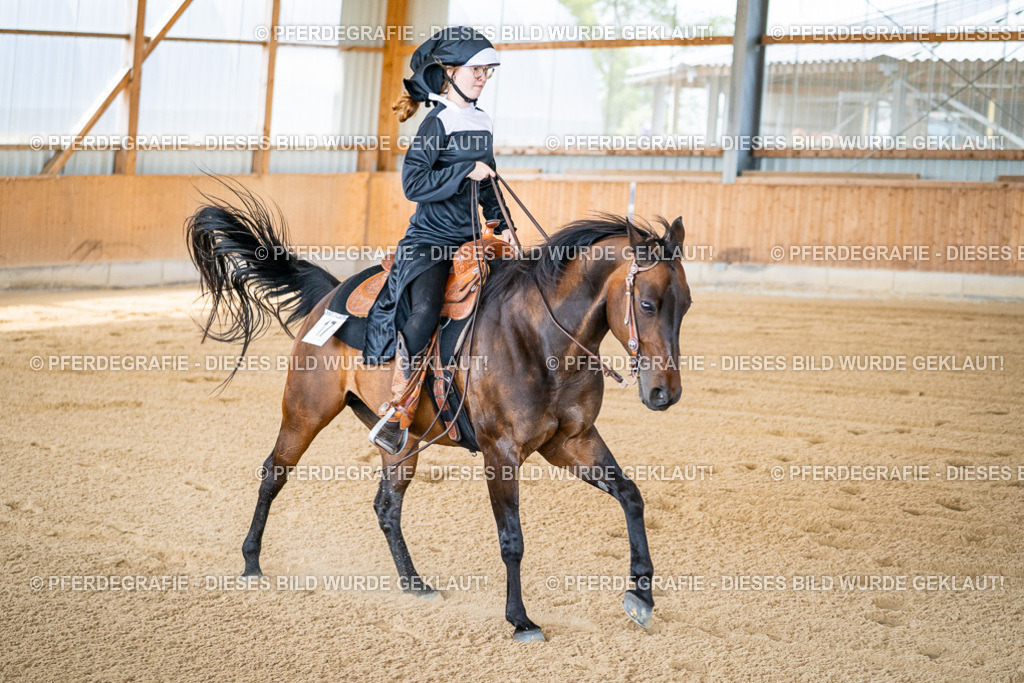 DSC04720 | Pferdegrafie