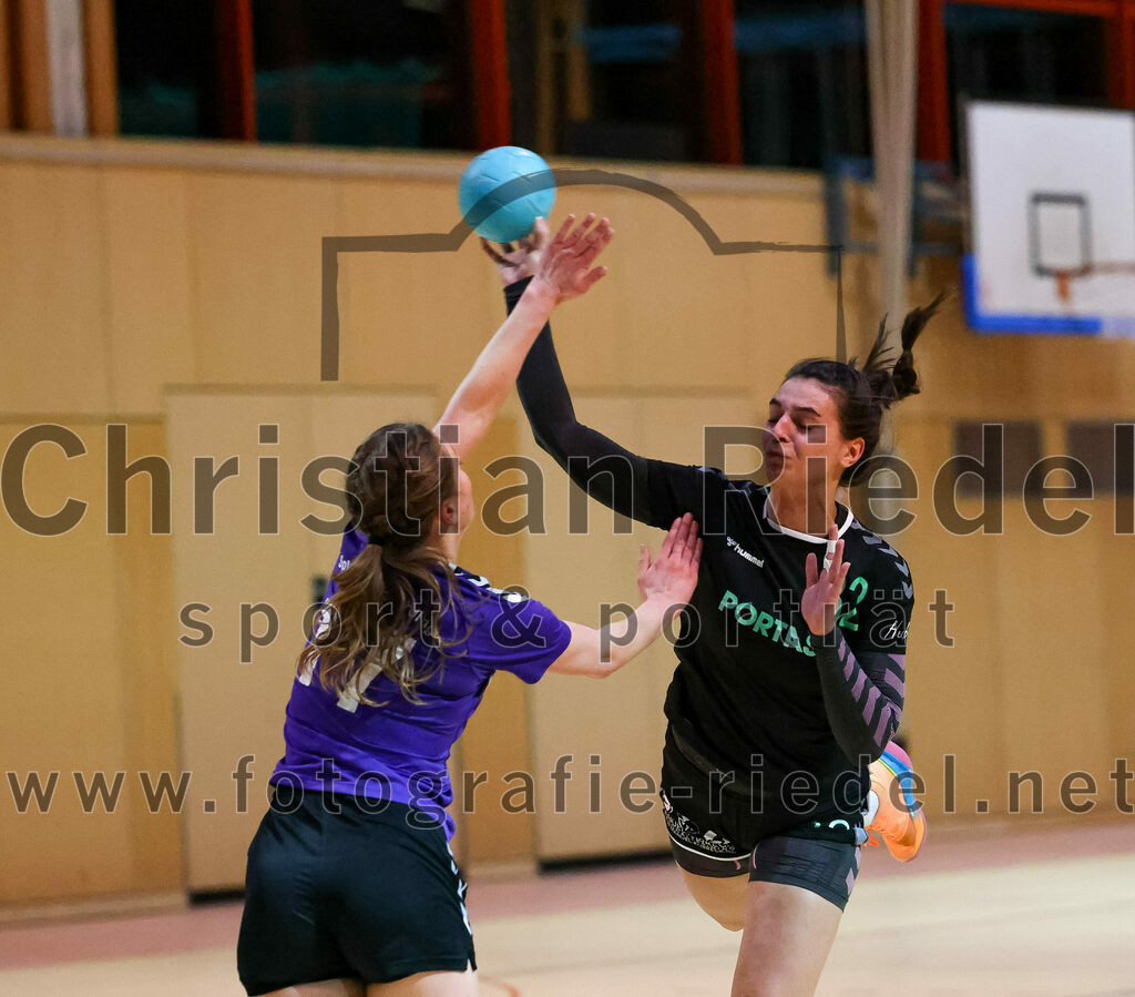 2023-02-25_052_SpVgg_Altenerding_III_gegen_TSV_Wartenberg_II | Erding, Deutschland, 25.02.2023:
Handball, Bezirksklasse Frauen Staffel Mitte 2022 / 2023, 13. Spieltag, SpVgg Altenerding III gegen TSV Wartenberg II, Endergebnis: 23:26

Foto: Christian Riedel / fotografie-riedel.net