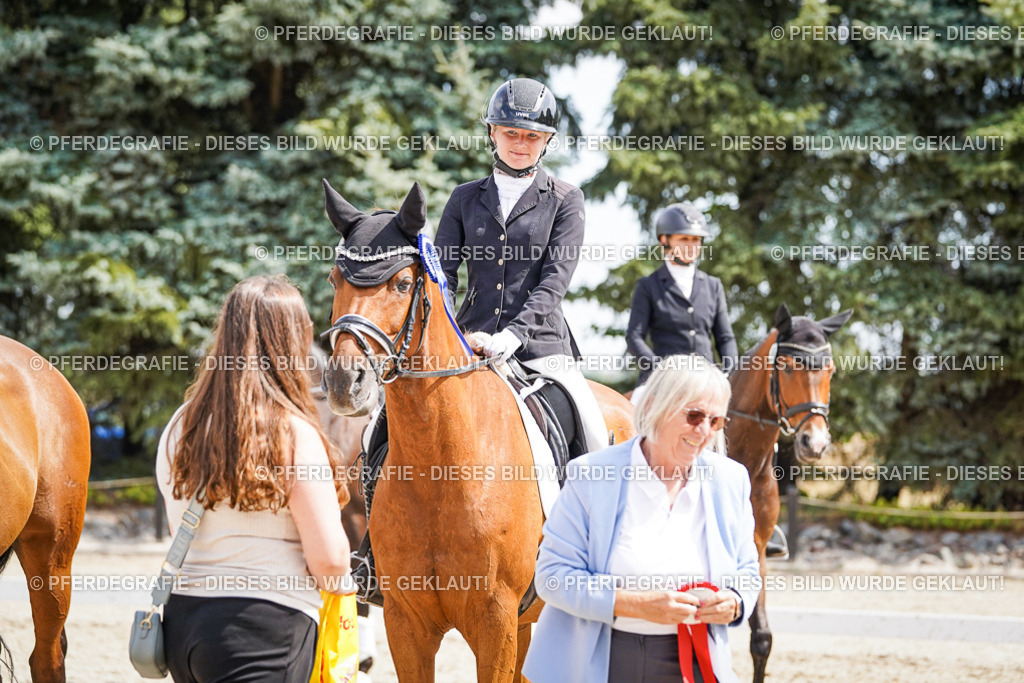 DSC02246 | Pferdegrafie