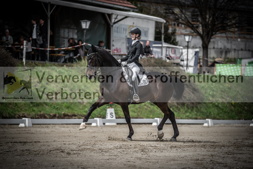DSC_2264 | equestrian-live-com