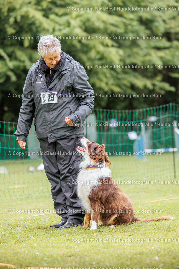 RO-Blumenthal-2026-Nickbest-Hundefotografie-2370 | Dein Hund! Dein Moment! Deine Erinnerungen! Hundefotografie in Bremen Blumenthal. Ich fange die besonderen Momente deines Vierbeiners ein – ob Indoor mit Blitzanlage oder in der freien Natur. Sicher dir dein Moment und dein Termin für eure Erinnerungen.