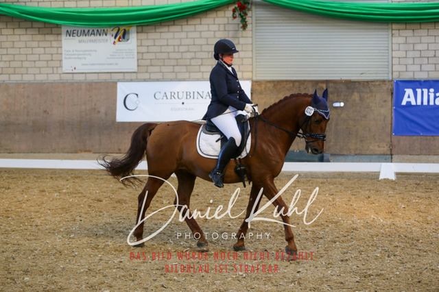 IMG_2694 | Turnierfotos kaufen im Webshop von Daniel Kuhl Photography – entdecke professionelle Reitsportfotos aus Turnieren & Events. Hochwertige Turnierbilder online bestellen & sichern. Jetzt Fotos von Reitsportturnieren kaufen!