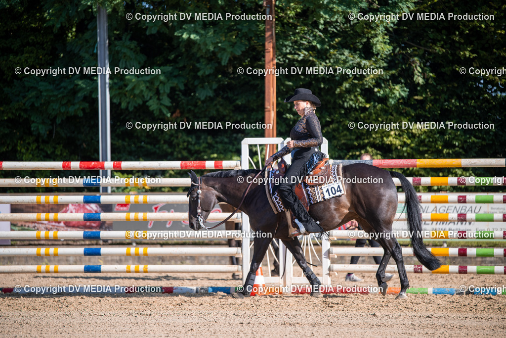 ZS1_0687 | dv-media-shop - Realisiert mit Pictrs.com