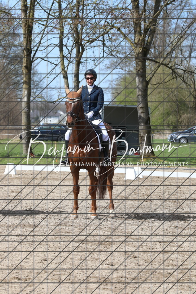 AZ2A3474 | Benjamin Bartmann Photomoments