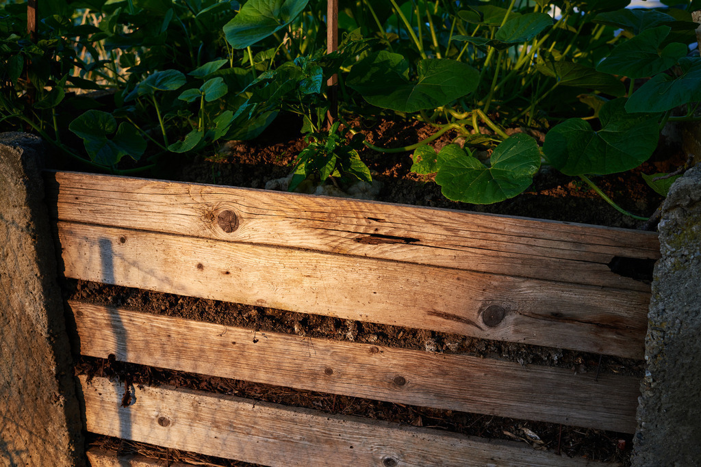 Komposthaufen im Abendlicht | Austria - June 29, 2019: Komposthaufen im Abendlicht. - Realisiert mit Pictrs.com