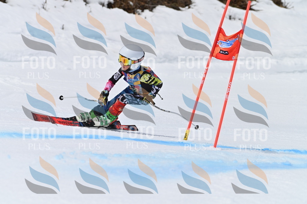 BGV_4798 | holidayphoto