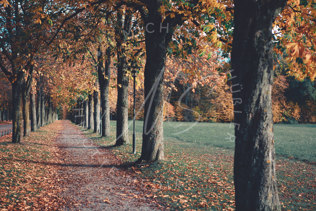 2020-10-27 Monrepos u Solitude Herbst-25 | Herbst am Schloß Solitude bei Stuttgart 1 - Realisiert mit Pictrs.com