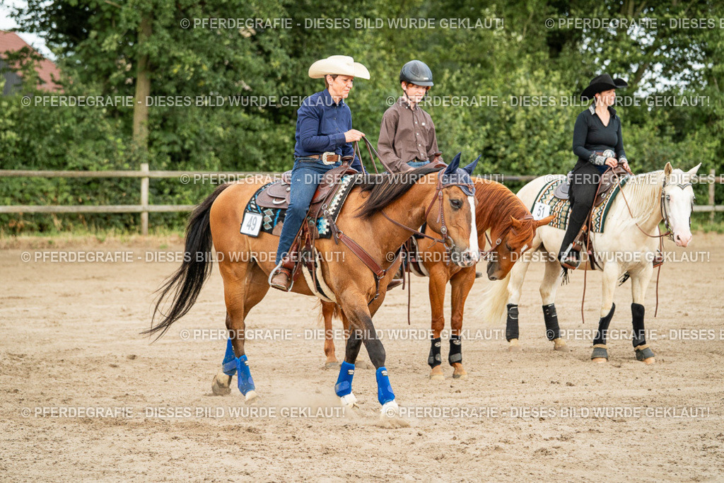 DSC05151 | Pferdegrafie