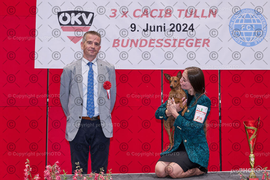 202406_ÖKV-IHA-Tulln24_NZ9_9506 | proPHOTO - Realisiert mit Pictrs.com