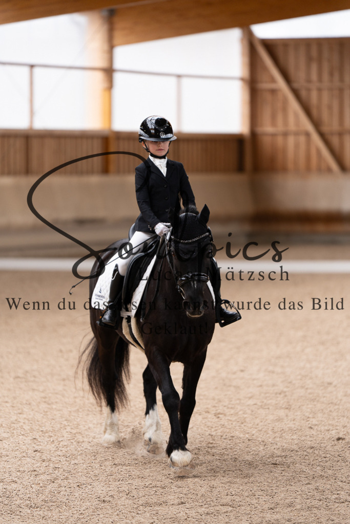 A7507201 | Pferdefotograf