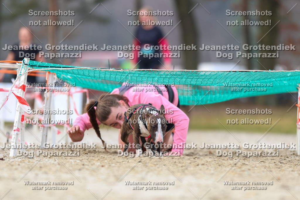 Dog Paparazzi - Strongdog North Mrz26-3921 | Dog Paparazzi Jeanette Grottendiek Fotografie & Videografie - Realisiert mit Pictrs.com