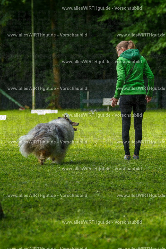 @allesWIRTHgut_Tierfotografie - www.allesWIRTHgut.de - 7R502149 | Professionelle Tierfotografie in Mönchengladbach von Daniel Wirth (allesWIRTHgut). Liebevolle & natürliche Bilder von Hunden & Katzen für unvergessliche Erinnerungen.
