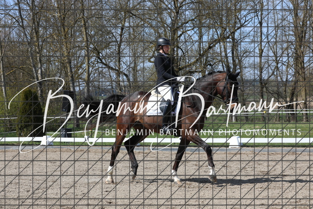 AZ2A5544 | Benjamin Bartmann Photomoments