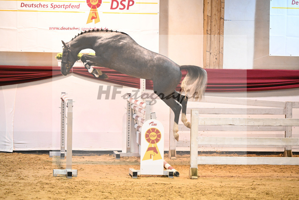 Kat-Nr. 55 v. Vingino_Bachl_66221248 | hf-fotografie - Realisiert mit Pictrs.com