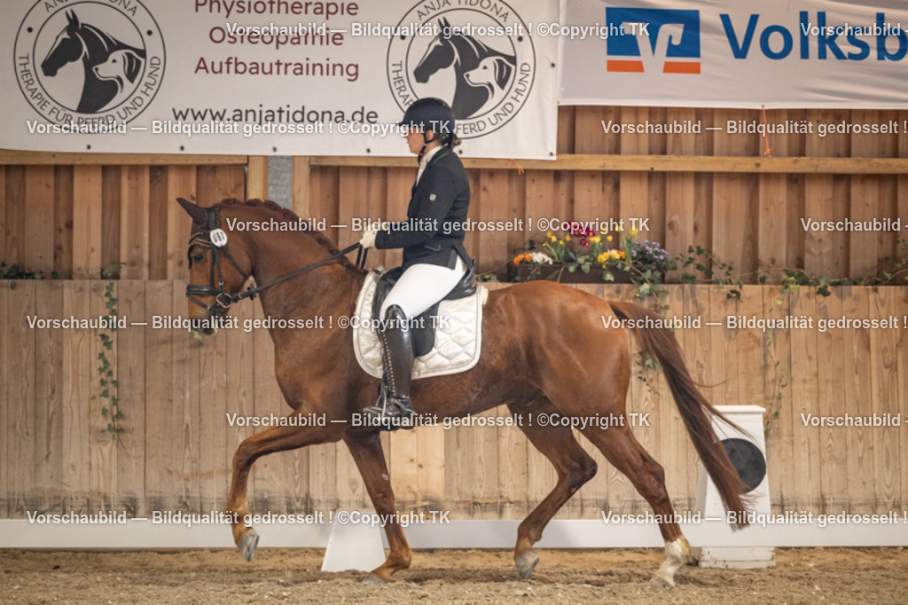 _D5A8726 | Emotionale Pferde- & People-Fotografie rund um Heidelberg, Leimen & Umgebung. Natürliche Fotos von Pferd, Mensch & Familie. Jetzt Termin sichern!