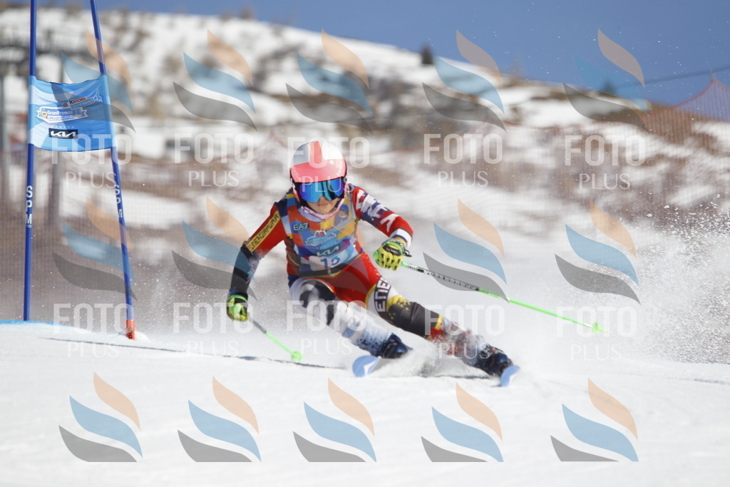 _U3G8811 | holidayphoto