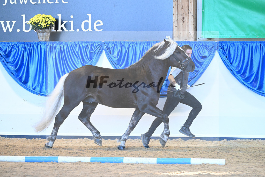 Kat-Nr. 114 Markgraf_HLG Marbach_53220809 | hf-fotografie - Realizzato con Pictrs.com