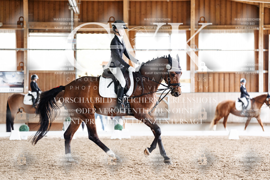 CK900733 | Turnierfotografie Pferdefotografie Trier Rheinland-Pfalz Pferdesport Reitsport Tierfotografie Sportfotografie Pferdevideo Pferdevideografie Equestrianvideography equestrianphotography  - Realisiert mit Pictrs.com