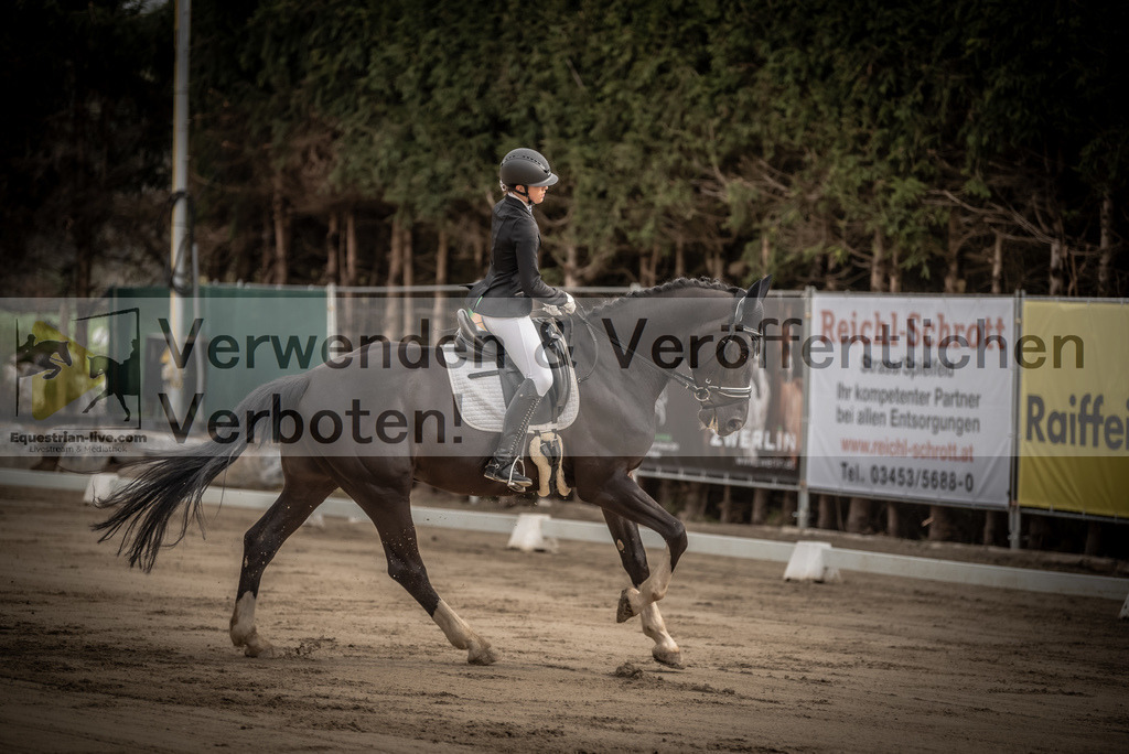 DSC_8225 | equestrian-live-com