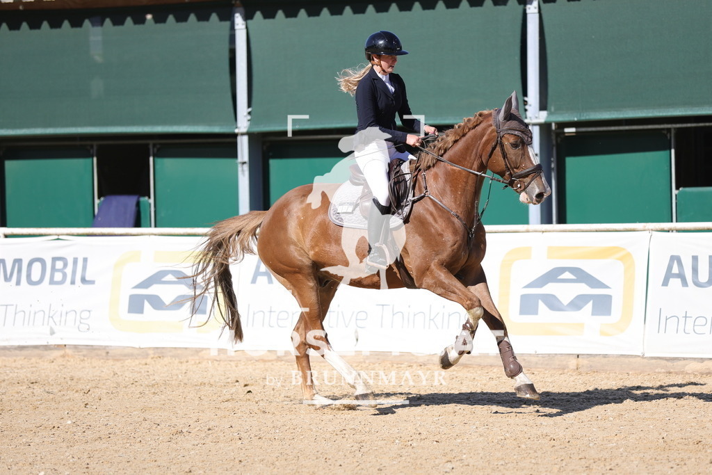 0P6A0346 | Willkommen bei Brunnmayr - Design & Fotografie – Ihrem Spezialisten für Reitturniere und Pferdeveranstaltungen in Oberösterreich, Salzburg und Bayern! Seit über 17 Jahren sind wir leidenschaftlich dabei.