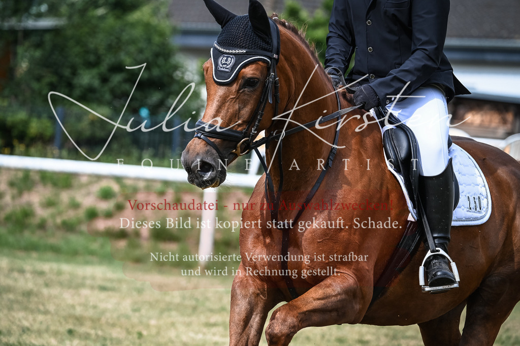 DSC_8179 | Pferde- und Turnierfotografie in Westsachsen. Pferdeportraits, Auftragszeichnungen und intuitive Kunst.