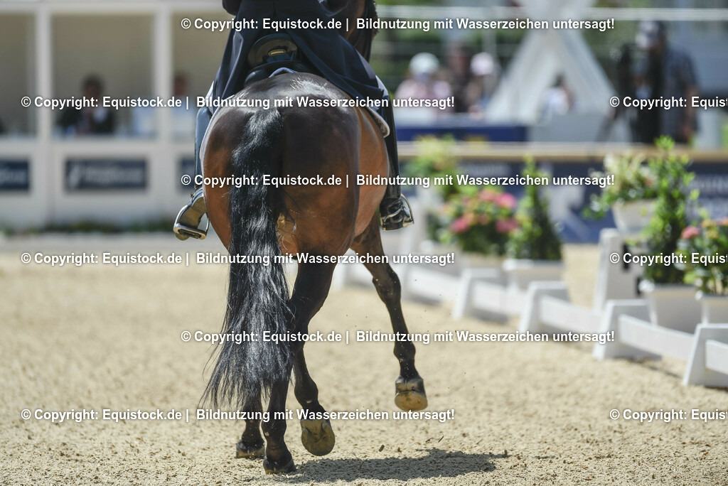 TP5_1357 | equistock