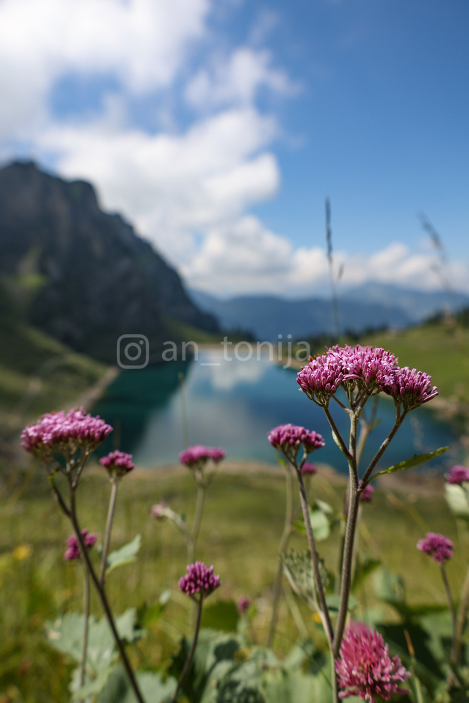 A.Trupina-22 | antonija-trupina - Realisiert mit Pictrs.com