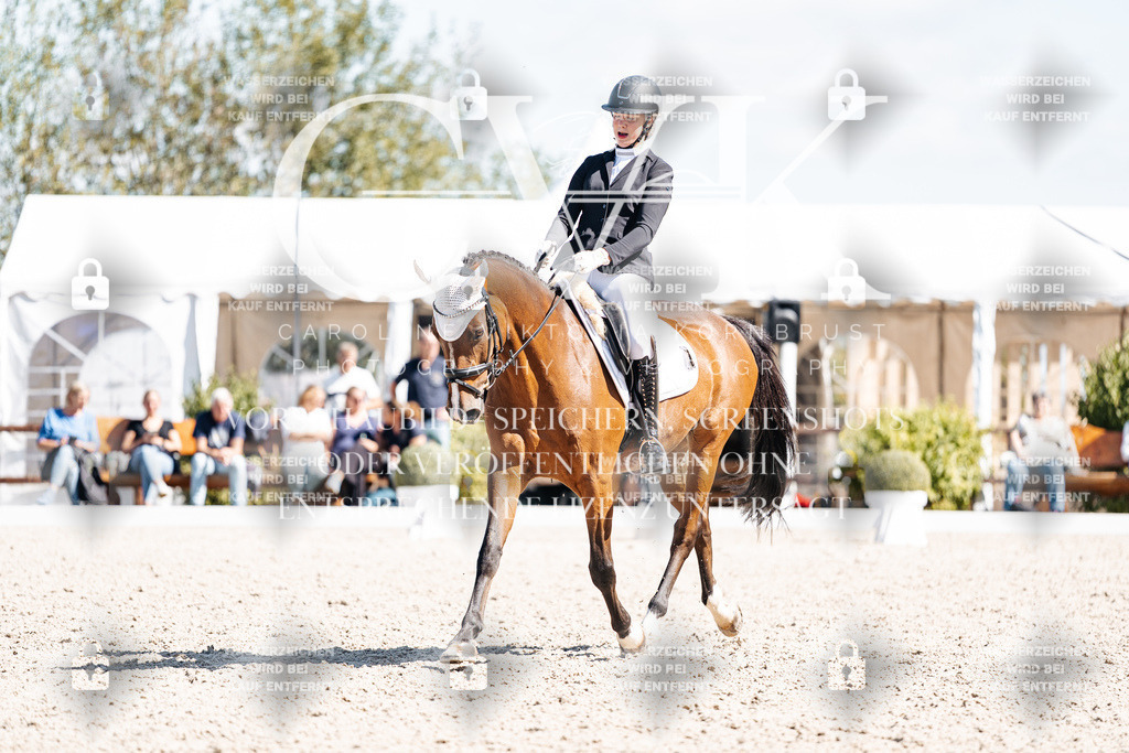 CK903664 | Turnierfotografie Pferdefotografie Trier Rheinland-Pfalz Pferdesport Reitsport Tierfotografie Sportfotografie Pferdevideo Pferdevideografie Equestrianvideography equestrianphotography  - Realisiert mit Pictrs.com