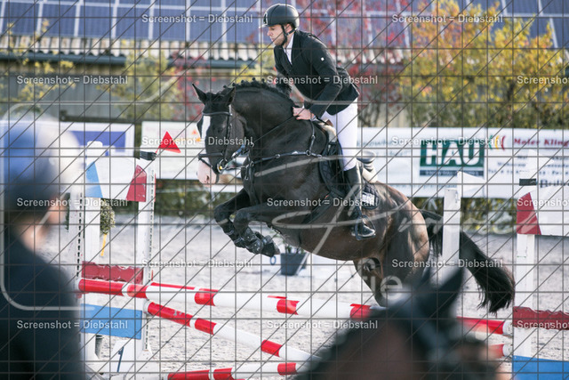 _W6A1170 | ronjaprokoschfotografie - Realisiert mit Pictrs.com