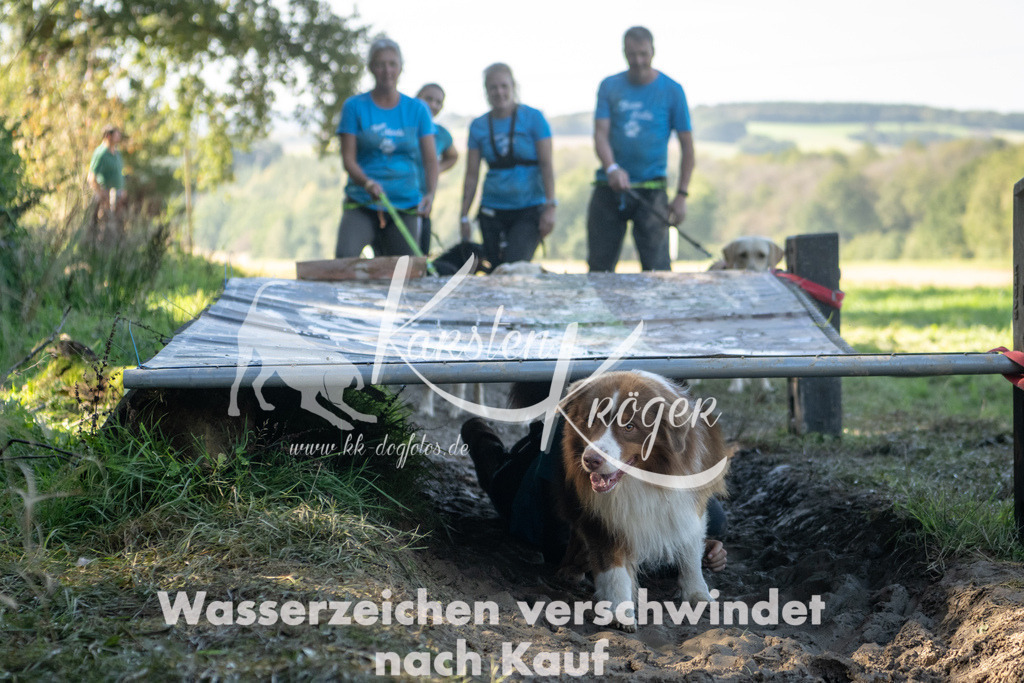 1440_ZZ93826-3 | kk-dogfotos