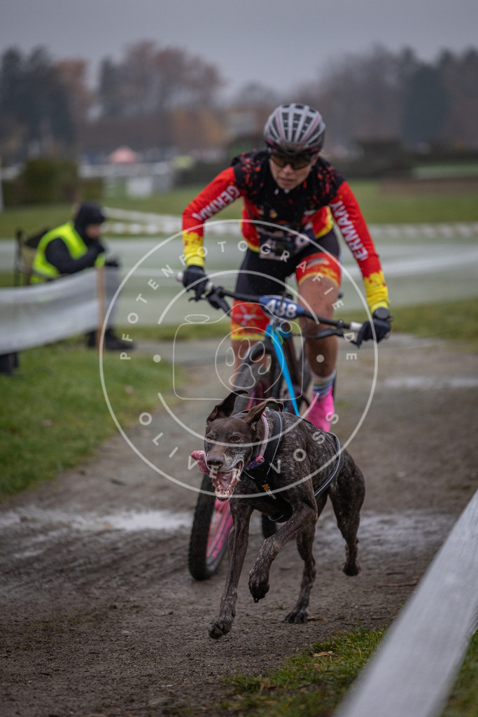 CaniXpix_0L8A1141 | Hundefotografie, Tierfotograf, Pfotenfotografie, Fotoshooting Hund, Hunde Portrait, Hundesport, Hundeportraits, Heideshooting, Hunde, Sportfotograf, Hundefotograf, Turnierhundsport, THS,  - Realisiert mit Pictrs.com