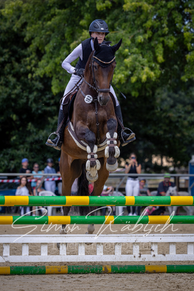 20260704-_3LI9320 | Tierfotografie Pferde, Hunde, Katzen, Haustiere.
Turnierfotografie Reitturniere, Reiten, Springreiten, Dressur in Hanau, dem Main-Kinzig-Kreis und dem Rhein-Main- Gebiet um Frankfurt