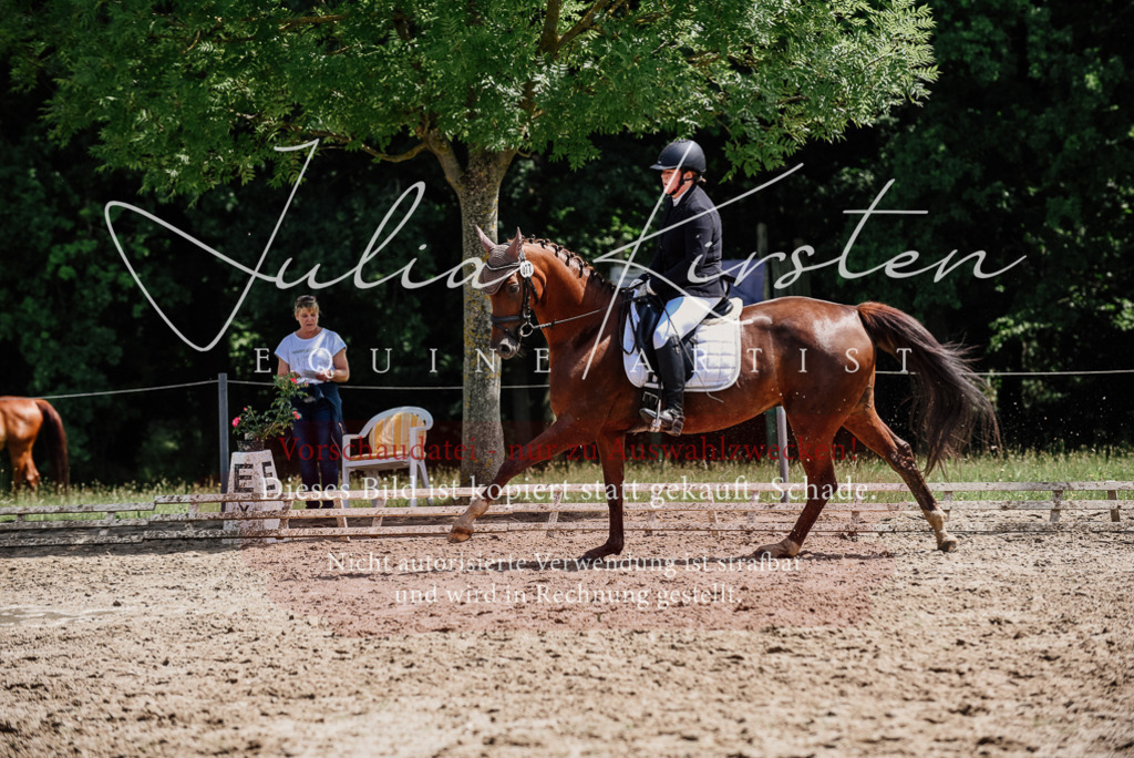 DSC_1323 | Pferde- und Turnierfotografie in Westsachsen. Pferdeportraits, Auftragszeichnungen und intuitive Kunst.