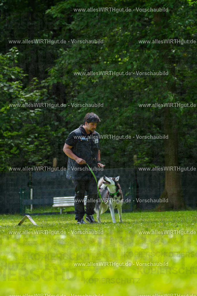 @allesWIRTHgut_Tierfotografie - www.allesWIRTHgut.de - 7R500907 | Professionelle Tierfotografie in Mönchengladbach von Daniel Wirth (allesWIRTHgut). Liebevolle & natürliche Bilder von Hunden & Katzen für unvergessliche Erinnerungen.