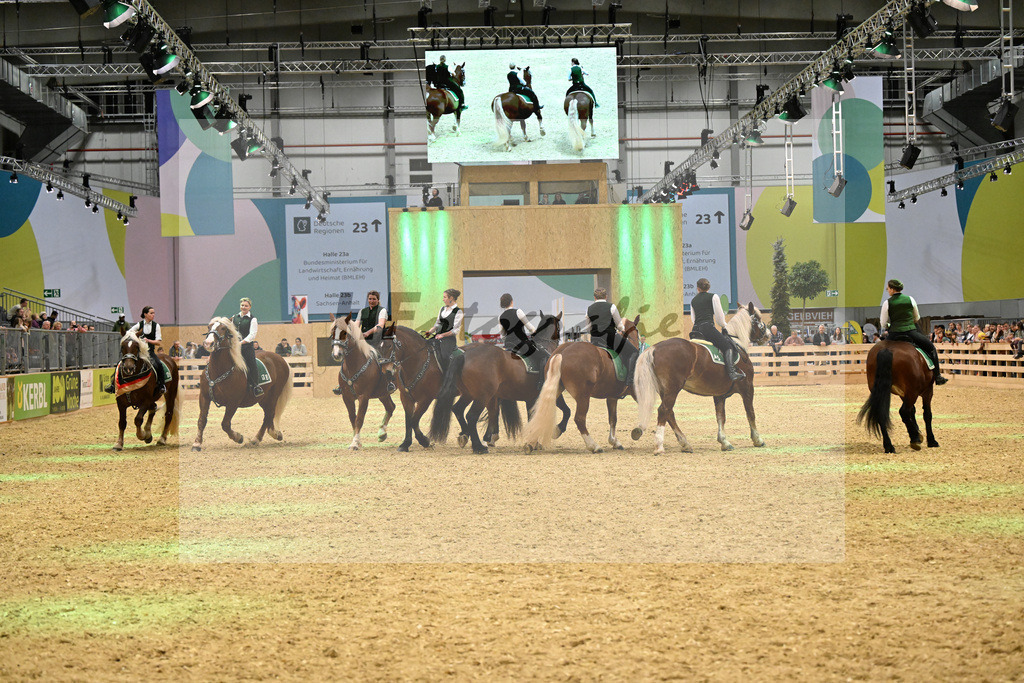 Schauprogramm_Dressurquadrille_1261098 | hf-fotografie - Realisiert mit Pictrs.com