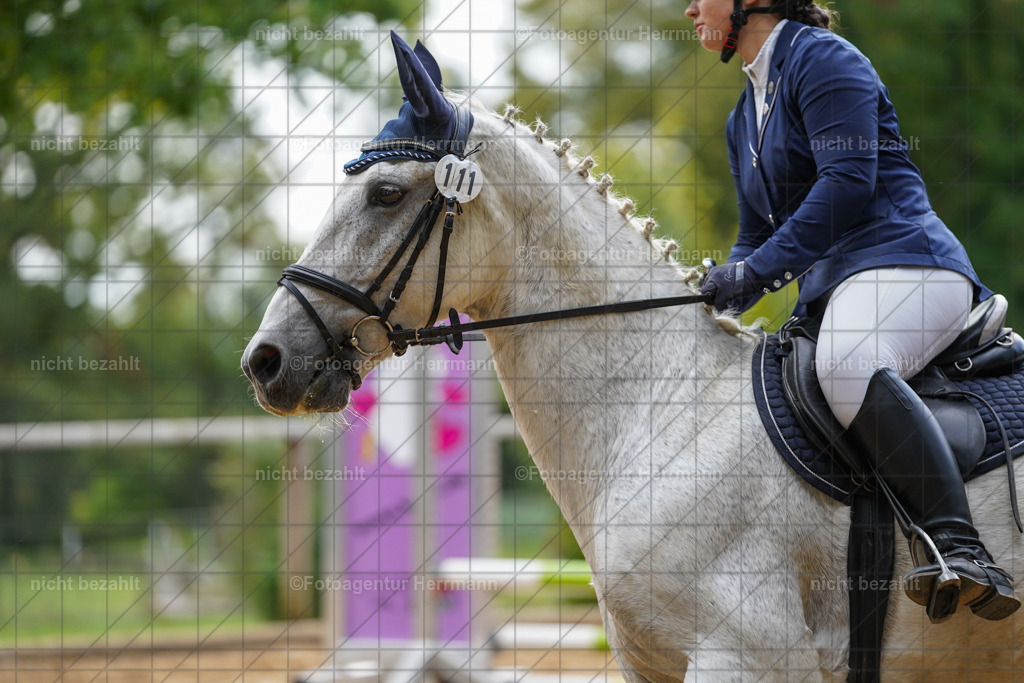 20231008-SN_01125 | Professionelle Turnier- und Reitsportfotografie - mit dem Finger am Auslöser. Pferdebilder aus dem Reitsport von den Turnierfotografen  Bayern , Pferdefotograf Bayern, Pferdeshooting Turnierbilder, Hochzeitsfotograf, Eventfotograf, Hochzeitsbilder