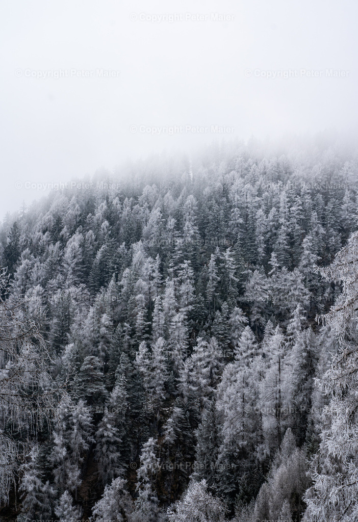 Hochstadel-289 | piet_flosse