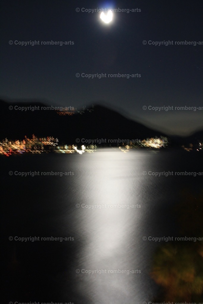 IMG_2871 | romberg-arts, romberg-arts.de, www.romberg-arts.de, Foto_Online_Shop, Julia Fuhrmann, Köln, Fotos, Fotografie, Fotokunst, Kunstdrucke, Naturfotos, Aktfotos, Nacktfotos, schwarz_weiß_Fotos, Blumenfotos, Blumen, Tiere, Beton, Korrosion, Lächeln, Drucke