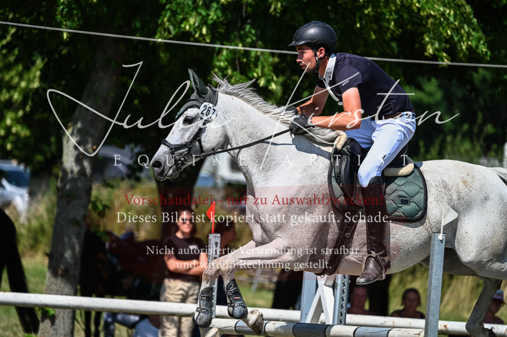 DSC_1140 | Pferde- und Turnierfotografie in Westsachsen. Pferdeportraits, Auftragszeichnungen und intuitive Kunst.