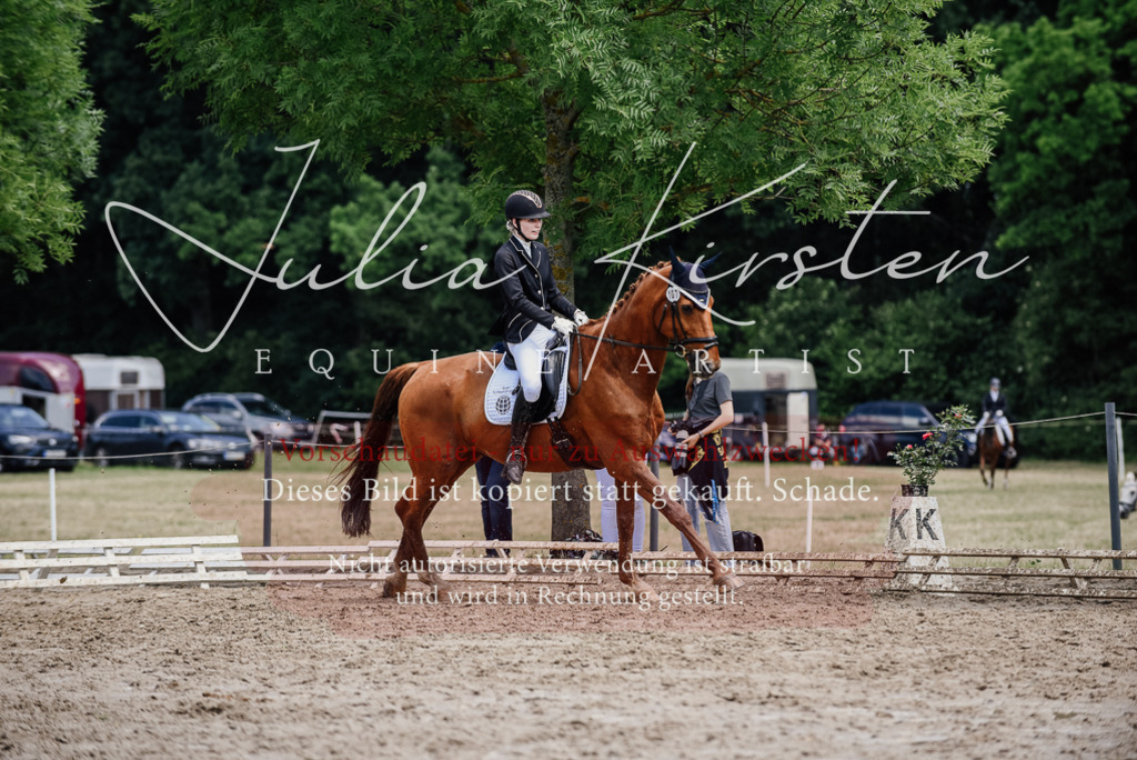 DSC_1590 | Pferde- und Turnierfotografie in Westsachsen. Pferdeportraits, Auftragszeichnungen und intuitive Kunst.