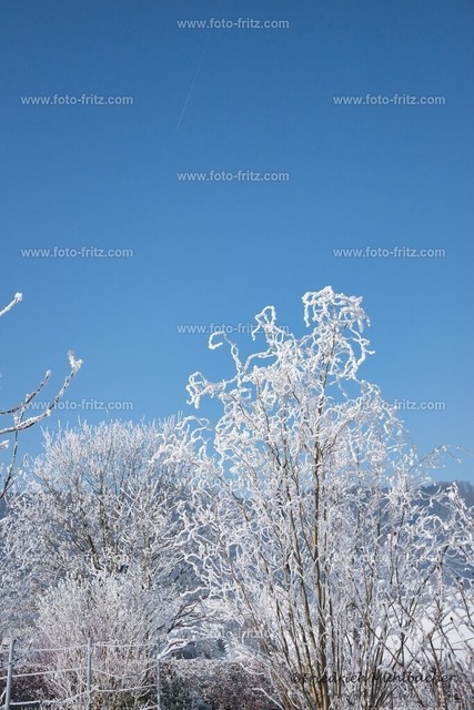 JAN_1324 | www.foto-fritz.com - Realisiert mit Pictrs.com