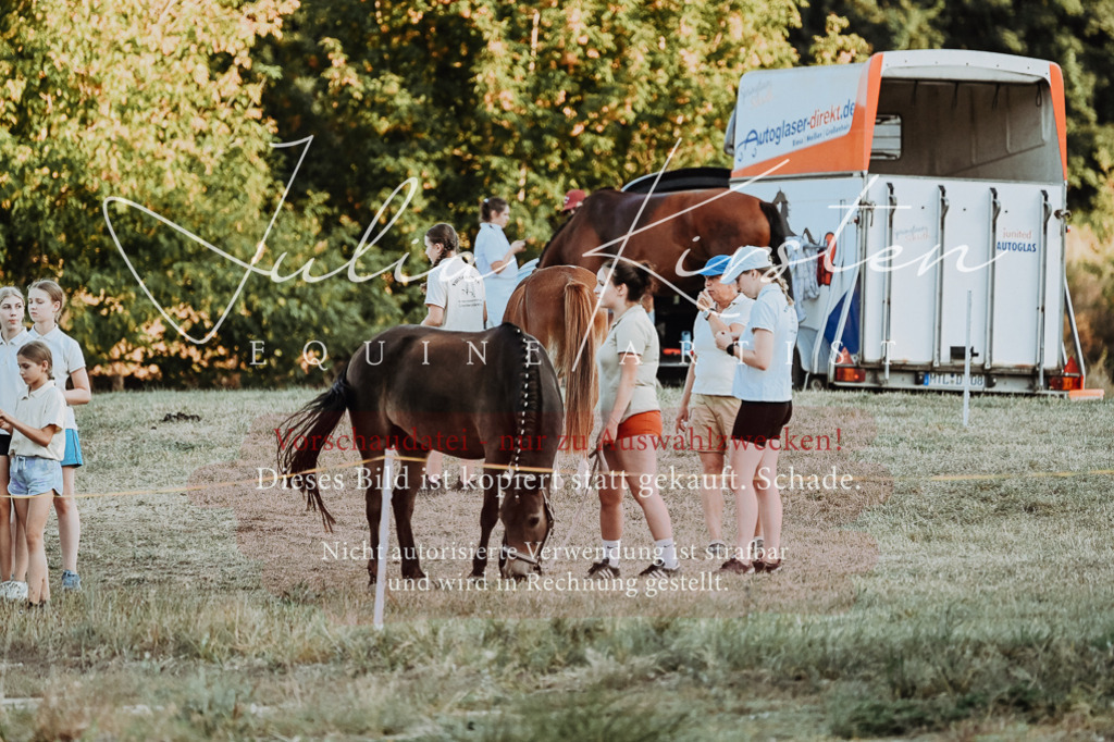 DSC_9312 | Pferde- und Turnierfotografie in Westsachsen. Pferdeportraits, Auftragszeichnungen und intuitive Kunst.