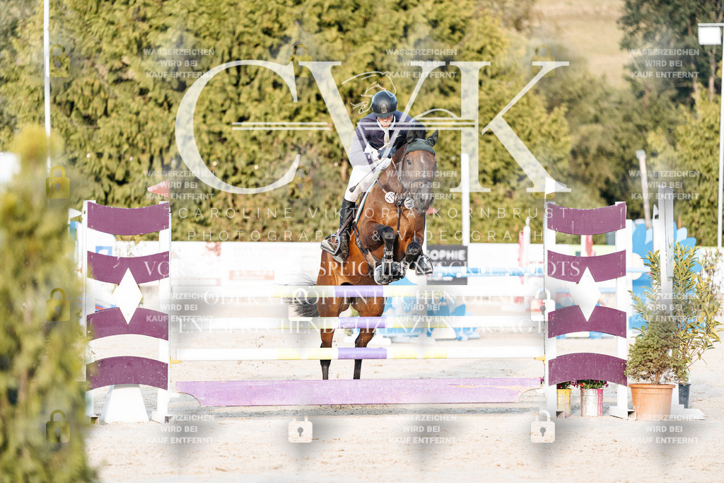 CK900869 | Turnierfotografie Pferdefotografie Trier Rheinland-Pfalz Pferdesport Reitsport Tierfotografie Sportfotografie Pferdevideo Pferdevideografie Equestrianvideography equestrianphotography  - Realisiert mit Pictrs.com